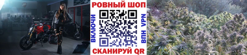 Codein Олонец