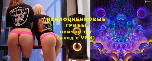 скорость Алзамай