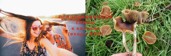 Альфа ПВП Алексин