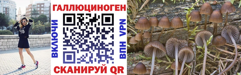 Псилоцибиновые грибы GOLDEN TEACHER Олонец